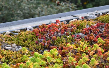 the cost of Horsepools green roof installation